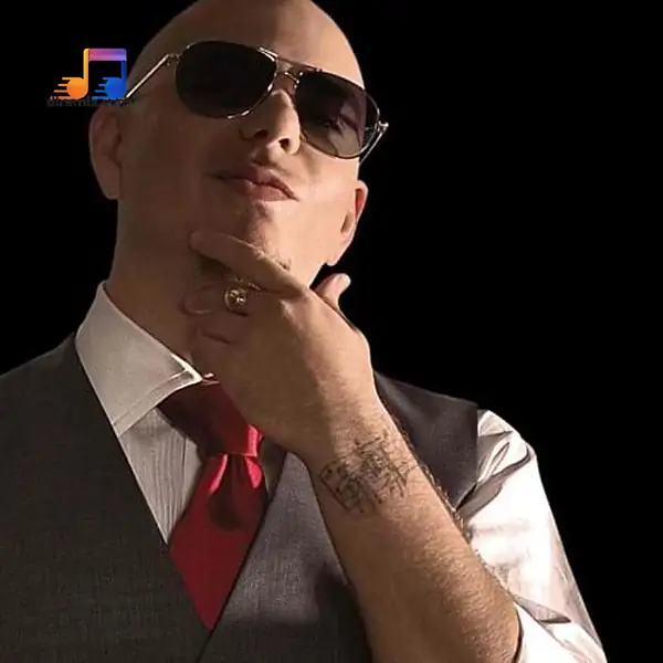 دانلود بهترین ریمیکس پیت بول خارجی Remix pit bull